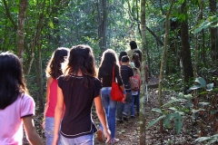 Trilha no Parque Estadual do Prosa - Foto Edemir Rodrigues (20)