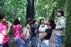 Trilha no Parque Estadual do Prosa - Foto Edemir Rodrigues (21)