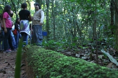 Trilha no Parque Estadual do Prosa - Foto Edemir Rodrigues (3)