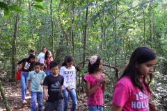 Trilha no Parque Estadual do Prosa - Foto Edemir Rodrigues (5)