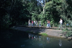 Trilha no Parque Estadual do Prosa - Foto Edemir Rodrigues (7)