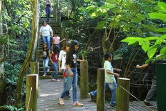 Trilha no Parque Estadual do Prosa - Foto Edemir Rodrigues (8)