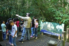 Trilha no Parque Estadual do Prosa - Foto Edemir Rodrigues (9)