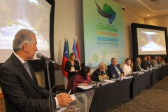 Corredor Rodoviário Bioceânico-Foto-Chico Ribeiro (126)