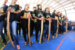 Aldeia Amambaí (294)