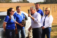 MS Amambaí-Caarapó (117)